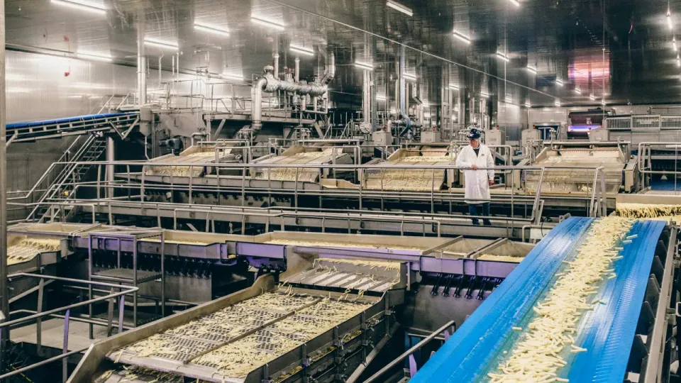 Medewerker in witte jas overziet de frietproductie op de transportbanden in een Aviko-fabriek